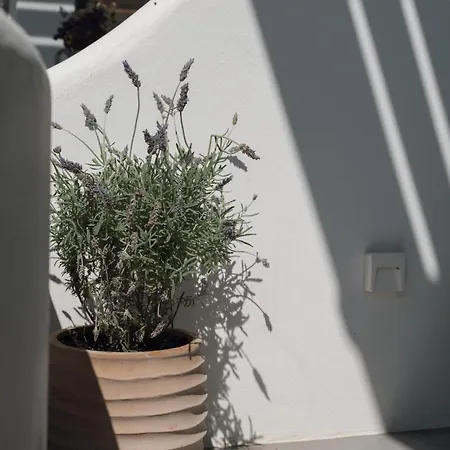 Luaz Naxian Living 2 Casa vacanze Naxos City