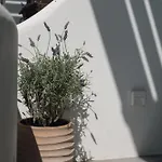 Luaz Naxian Living 2 Casa vacanze Naxos City